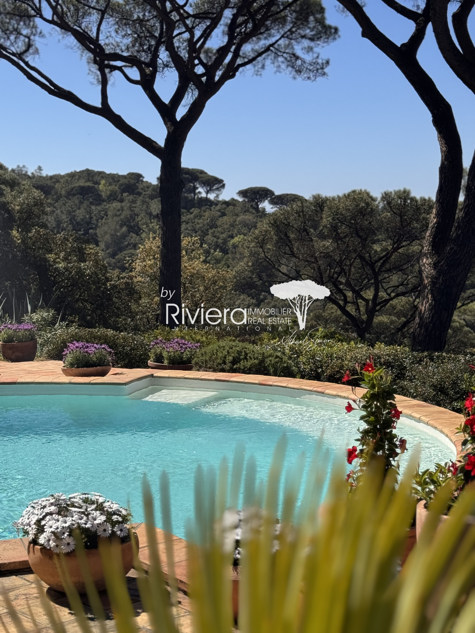 Image_33, Propriété, La Croix-Valmer, ref :VPR10002614