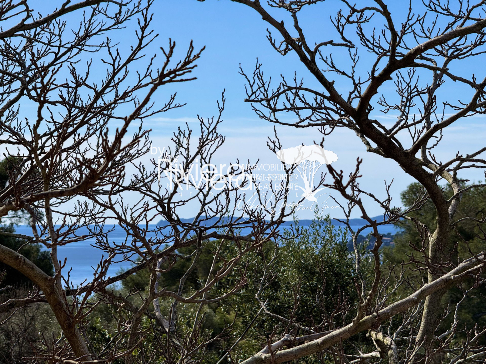 Image_2, Villa, La Croix-Valmer, ref :VVI10001833