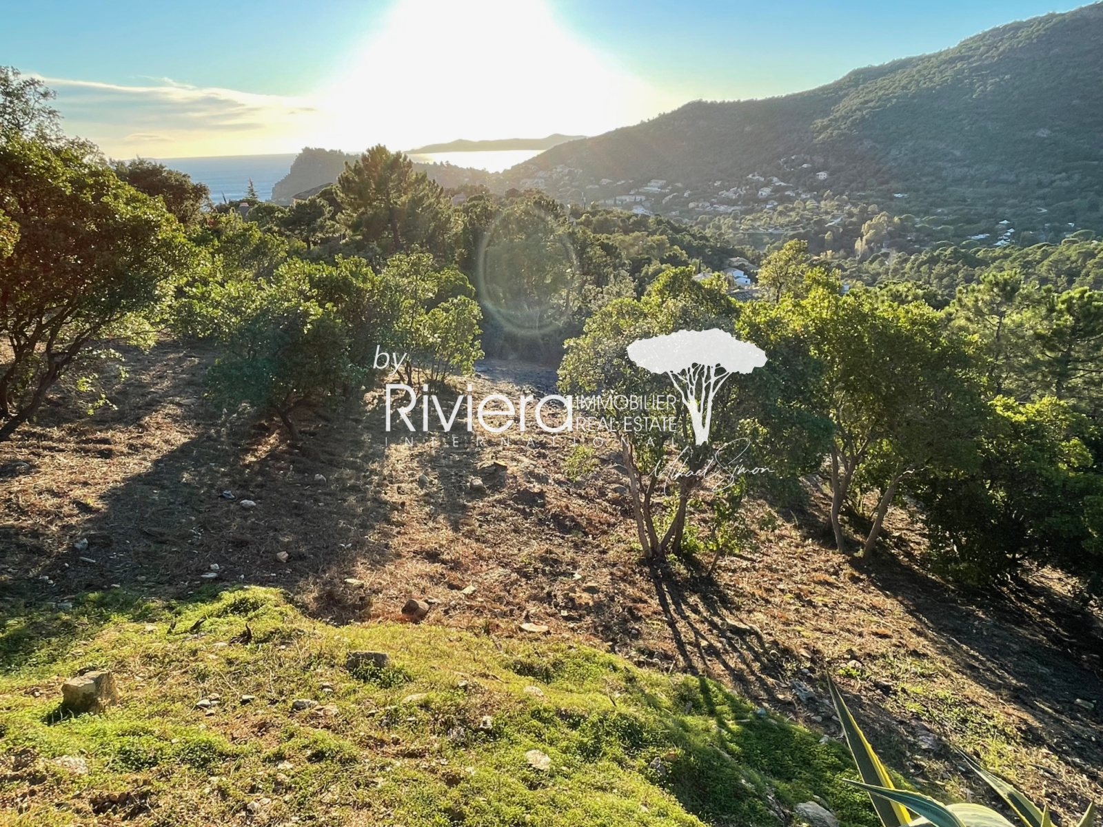 Image_5, Terrain, Rayol-Canadel-sur-Mer, ref :VTE10002673