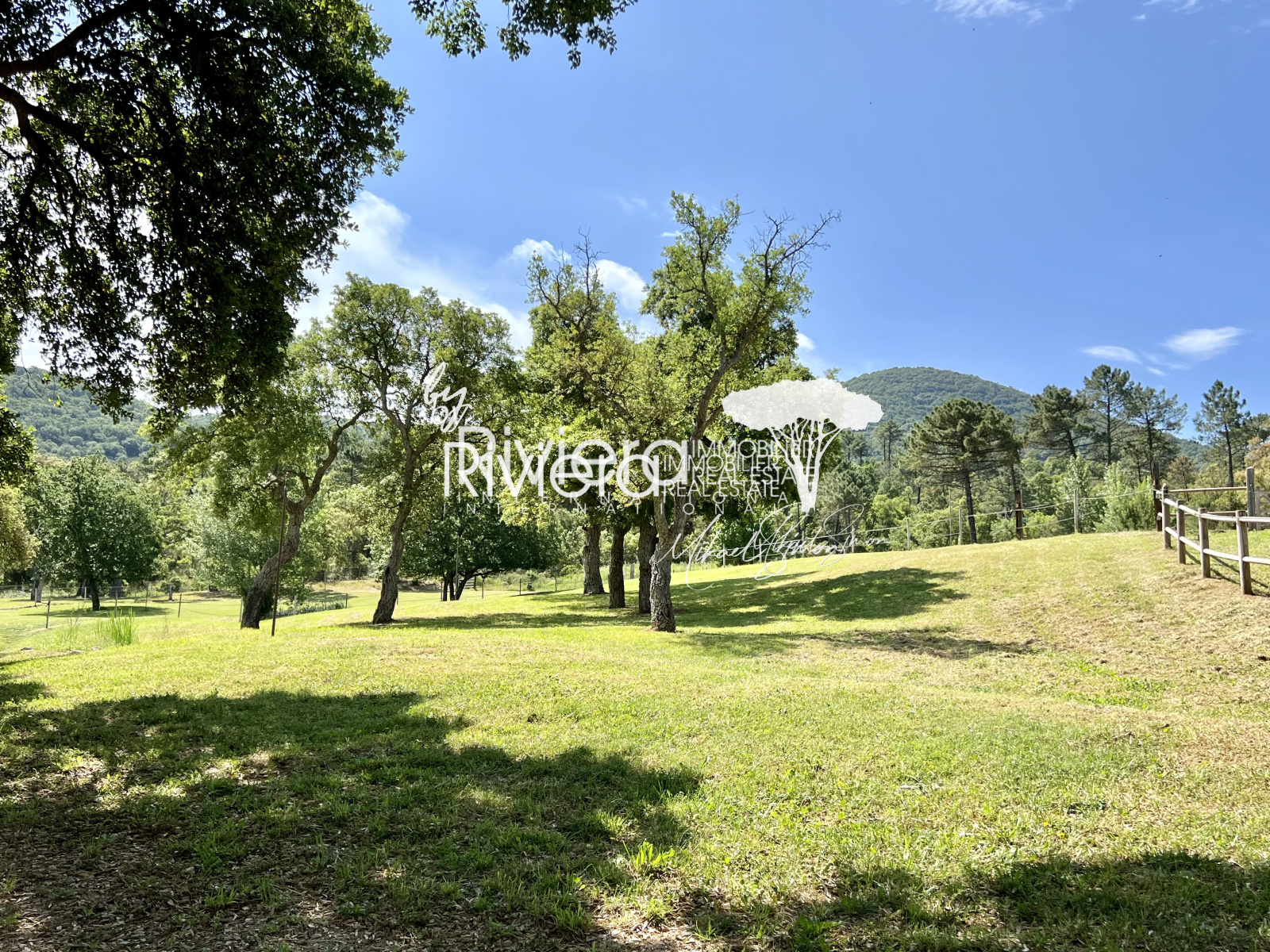 Image_13, Propriété, La Môle, ref :VPR10002664