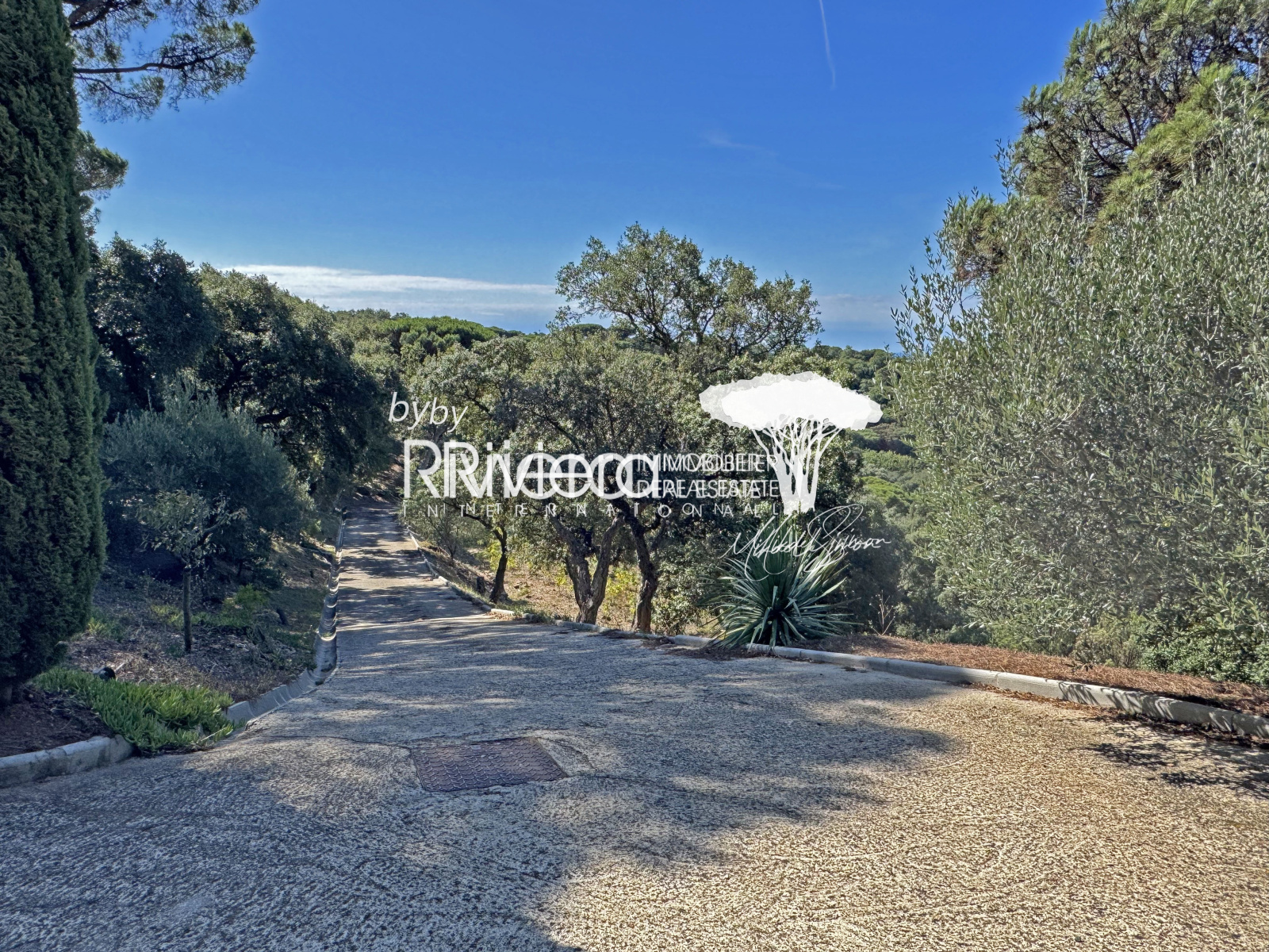 Image_39, Propriété, La Croix-Valmer, ref :VPR10002641