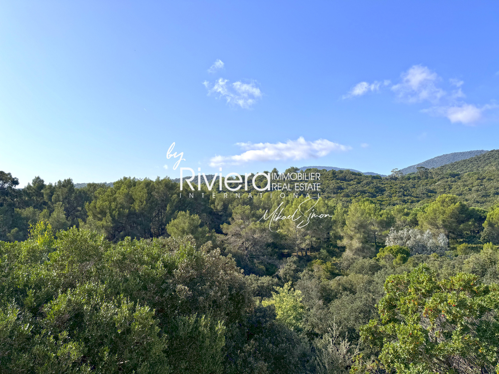 Image_5, Villa, La Croix-Valmer, ref :VVI10002057