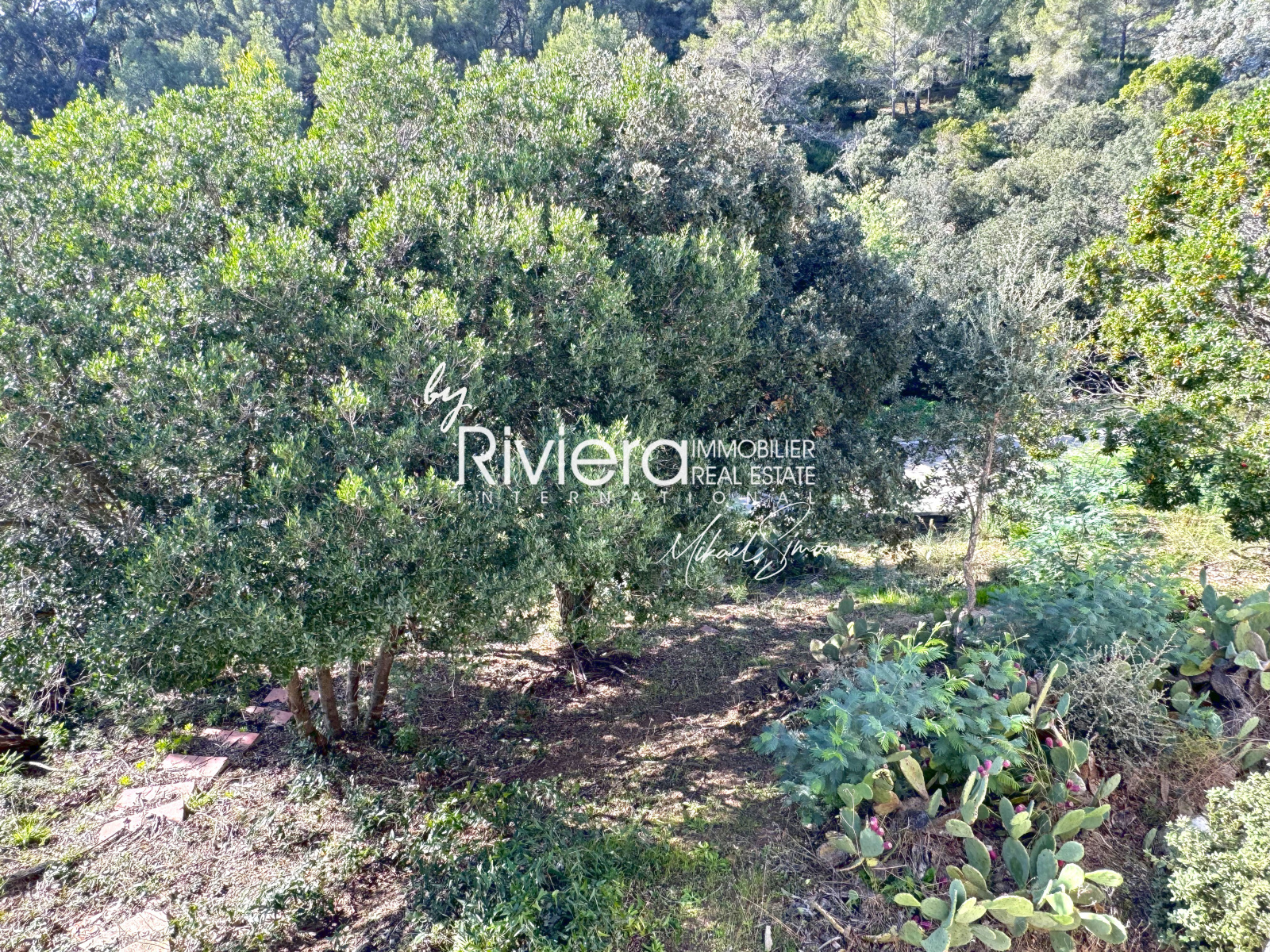 Image_13, Villa, La Croix-Valmer, ref :VVI10002057