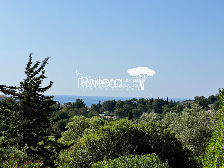 Achat immobilier LaCroixValmer RIVIERA IMMOBILIER REAL ESTATE